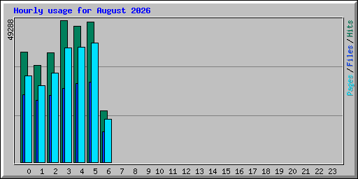Hourly usage for August 2026